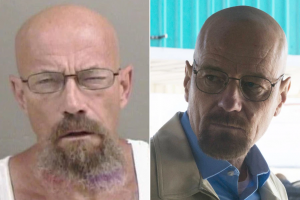 Breaking Bad In Real Life: Walter White Arrested For Meth!