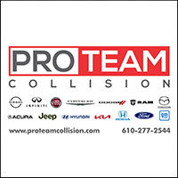 Pro Team logo